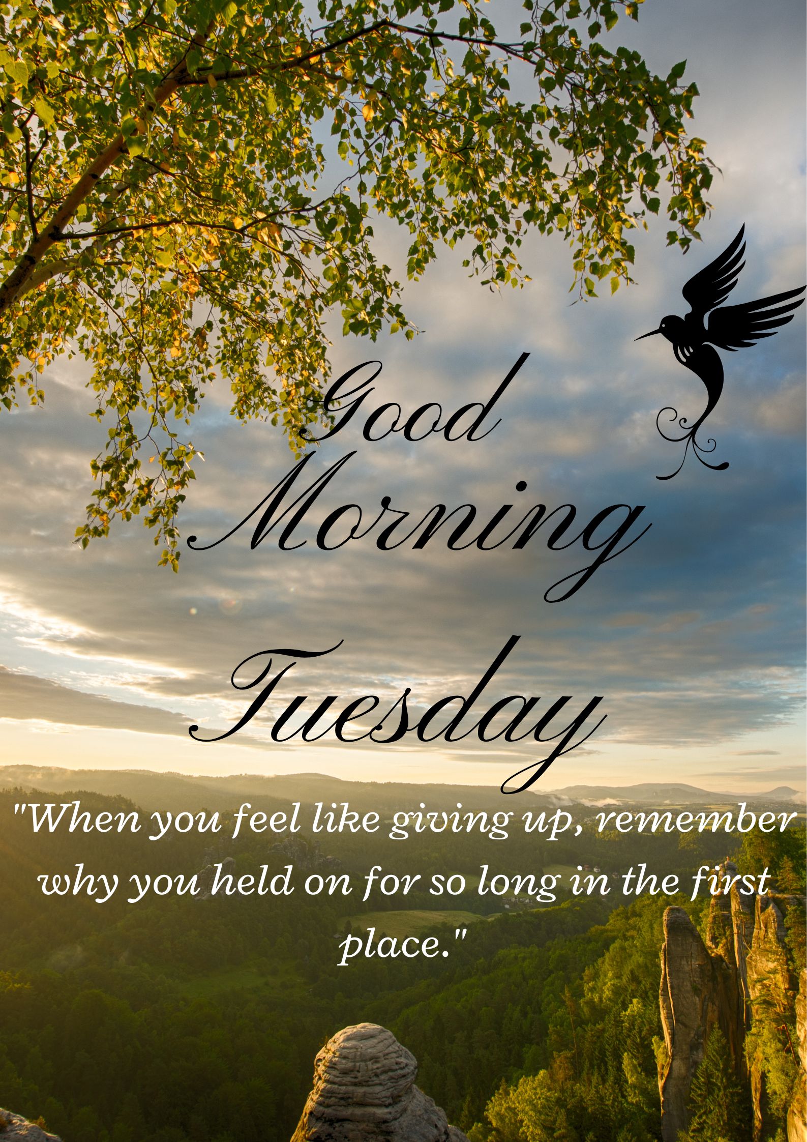 Tuesday Blessings