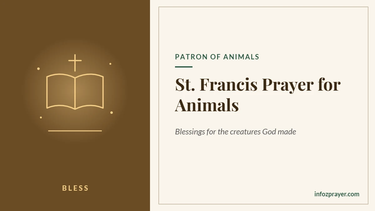 St Francis prayer for animals